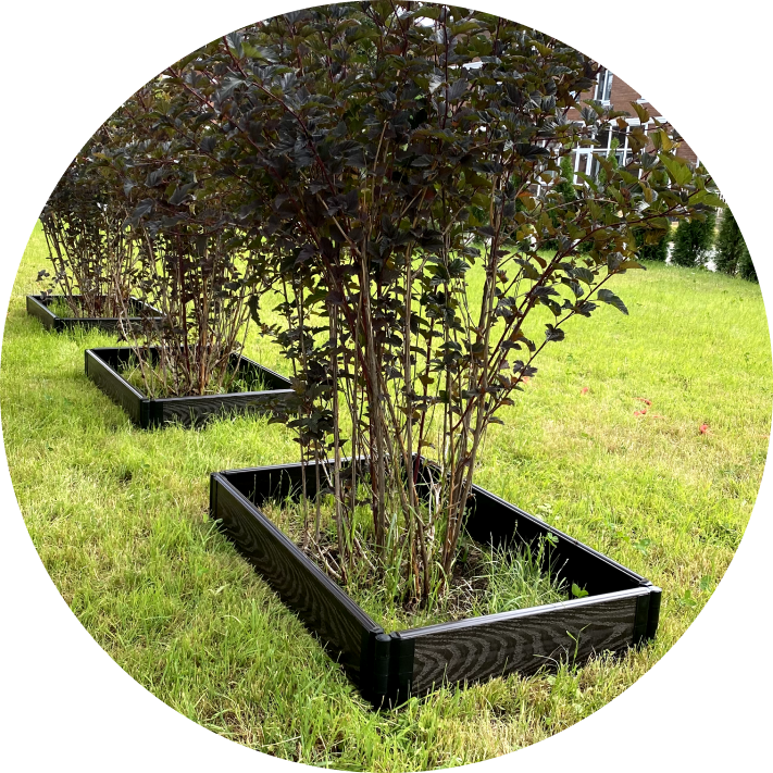 стоимость грядки